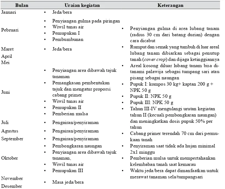 Tabel 2. Kalender budidaya durian masa remaja (Tahun II-IV)