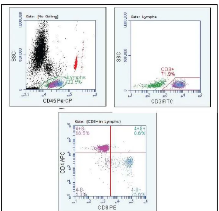Gambar 7. Data Representatif Sampel Hematologi Nor