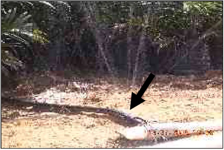 Gambar  4.   Pipa   perforasi   untuk  irigasi   bibit   kelapa   sawit   di   PT  Makin, Jambi