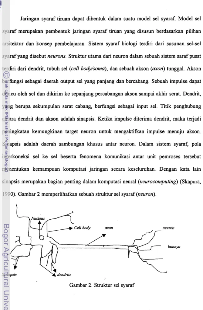 Gambar 2. Struktur sel syaraf 