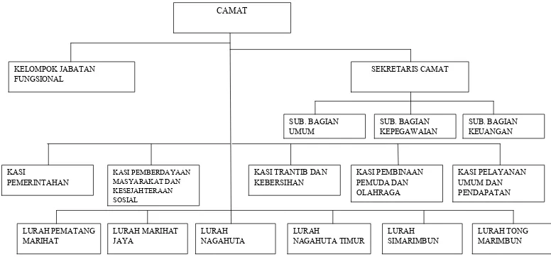 Gambar. 3.1 Struktur Organisasi Kantor Kecamatan Siantar Marimbun 
