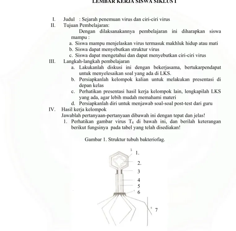 Gambar 1. Struktur tubuh bakteriofag.