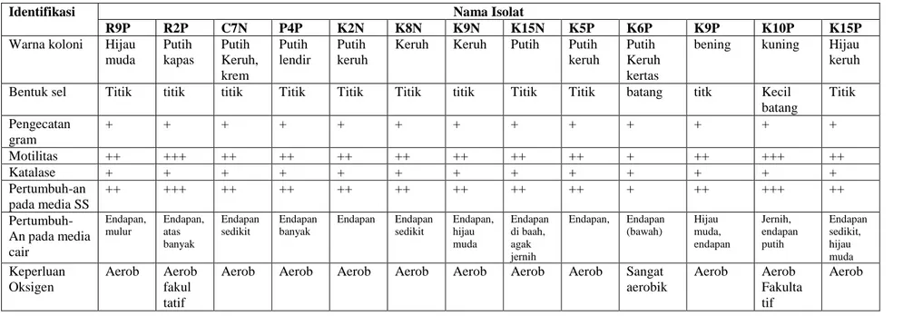 Tabel 5 : Karakteristik isolat bakteri rhizosfer dari berbagai tumbuhan 