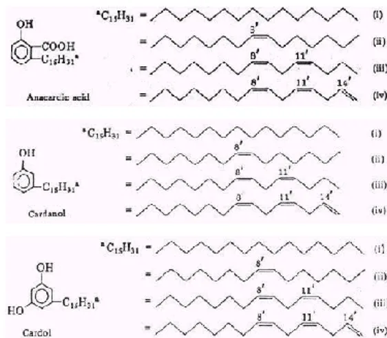 Gambar 1. Senyawa kimia minyak jambu  mete dan struktur molekulnya 
