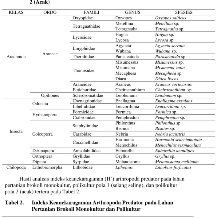 Tabel 1.  Jenis Arthropoda Predator yang ditemukan Pada Lahan Brokoli  Monokultur, Polikultur Pola 1 (Selang Seling), dan Polikultur Pola  2 (Acak) 
