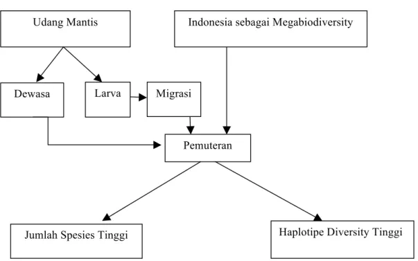 Gambar 1.1 Kerangka konsep penelitian 