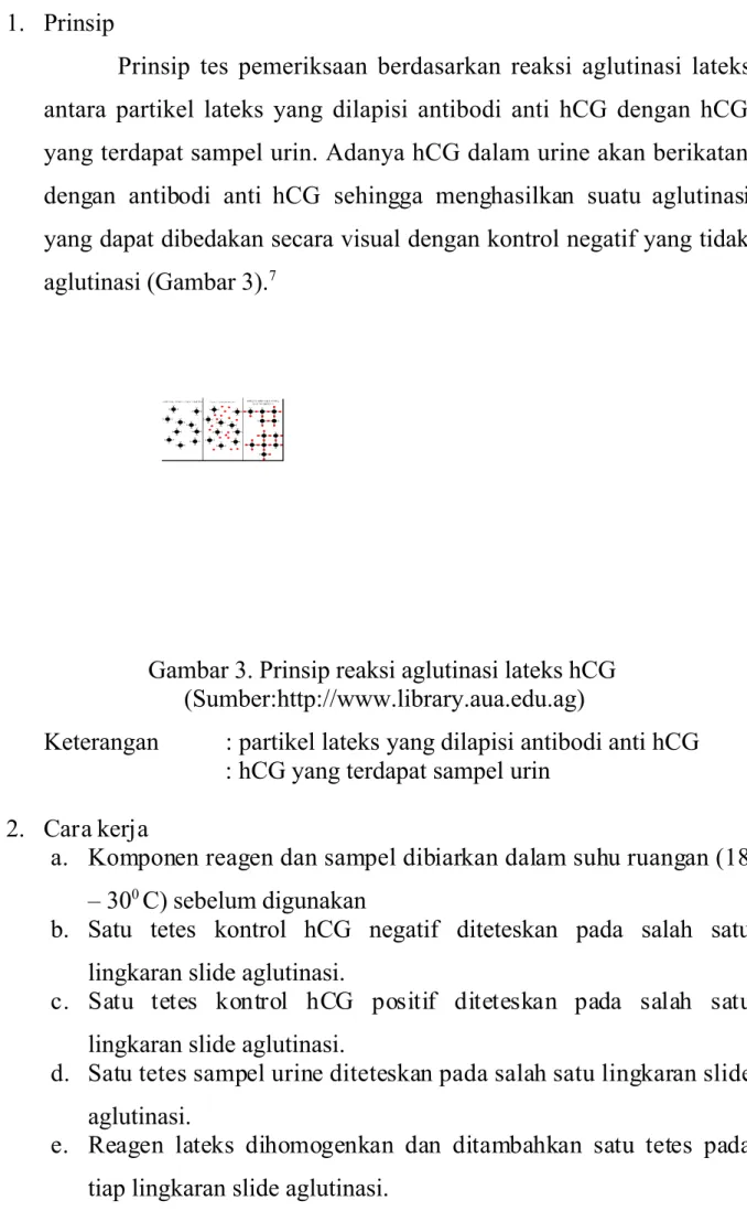 Gambar 2. 9lat dan bahan pemeriksaan hCG lateks (Sumber http&#34;&#34;www.biolab.fr )