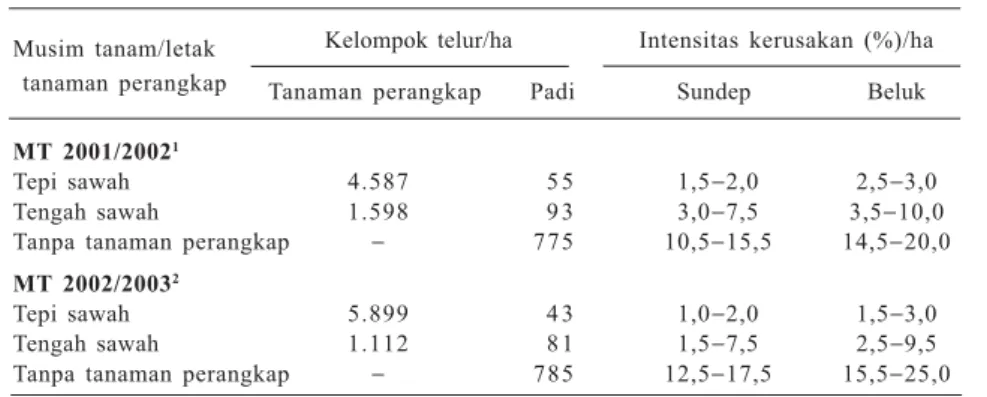 Tabel 2. Intensitas kerusakan padi akibat penggerek batang padi putih di area yang dikelilingi dan tanpa purun tikus di lahan rawa pasang surut Kabupaten Barito Kuala, Kalimantan Selatan.