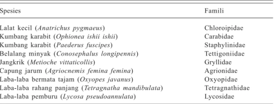Tabel 8. Konsentrasi  besi (Fe) dan sulfat ( SO 4 ) dalam jaringan tumbuhan liar di lahan rawa pada beberapa stadia umur.