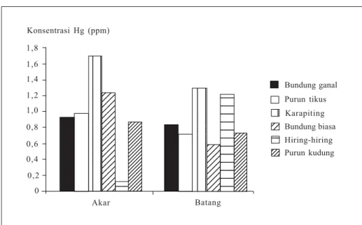 Gambar 5. Konsentrasi logam berat merkuri (Hg) pada flora rawa purun tikus (Dewi et al