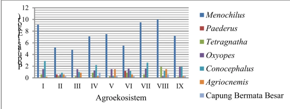 Gambar 8. Rata – Rata Populasi Predator pada Agroekosistem Berbeda