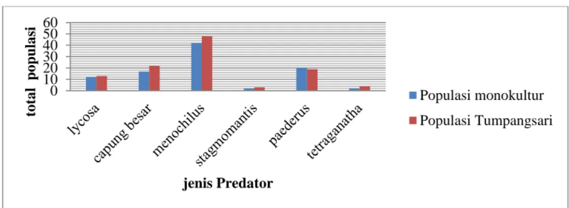Gambar 8. Total populasi predator pada sistem tanam yang berbeda. 