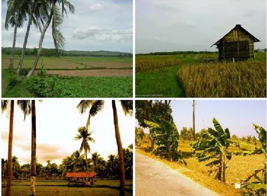 Gambar 2.6 Pemandangan alam Madura  2.2.2 Sejarah dan Budaya Karapan Sapi 