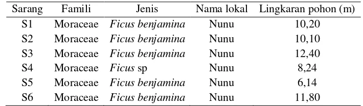 Tabel 1 Daftar pohon sarang dan lingkaran pohon 