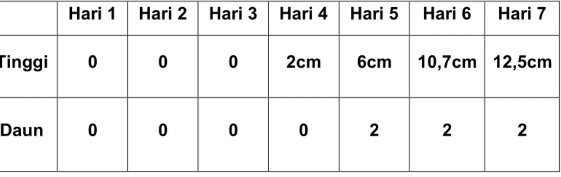 Tabel  4.  6  Hasil  pengamatan  pertumbuhan  dan  perkembangan  pada   Gelas  B 2  