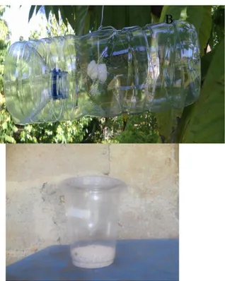 Gambar 1.  A)  Perangkap Beratraktan, B)  Gelas Plastik A B 