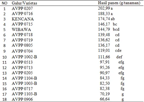 Tabel 2. Rata- rata hasil panen galur dan varietas tanaman cabai besar (C. annum L.)   dari lima kali panen 