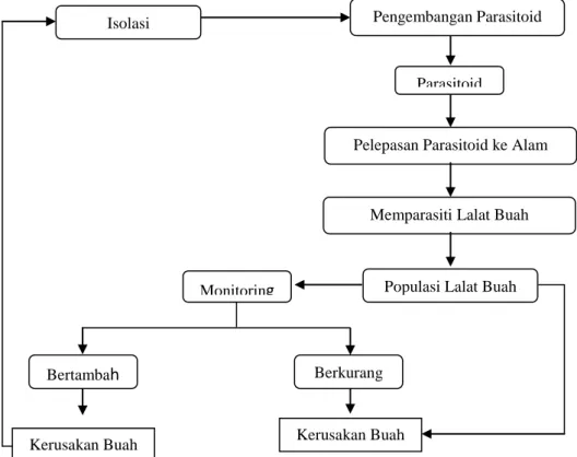 Gambar 1 Skema Penggunaan Parasitoid  Isolasi  parasitoid  dapat  dilakukan  dengan 