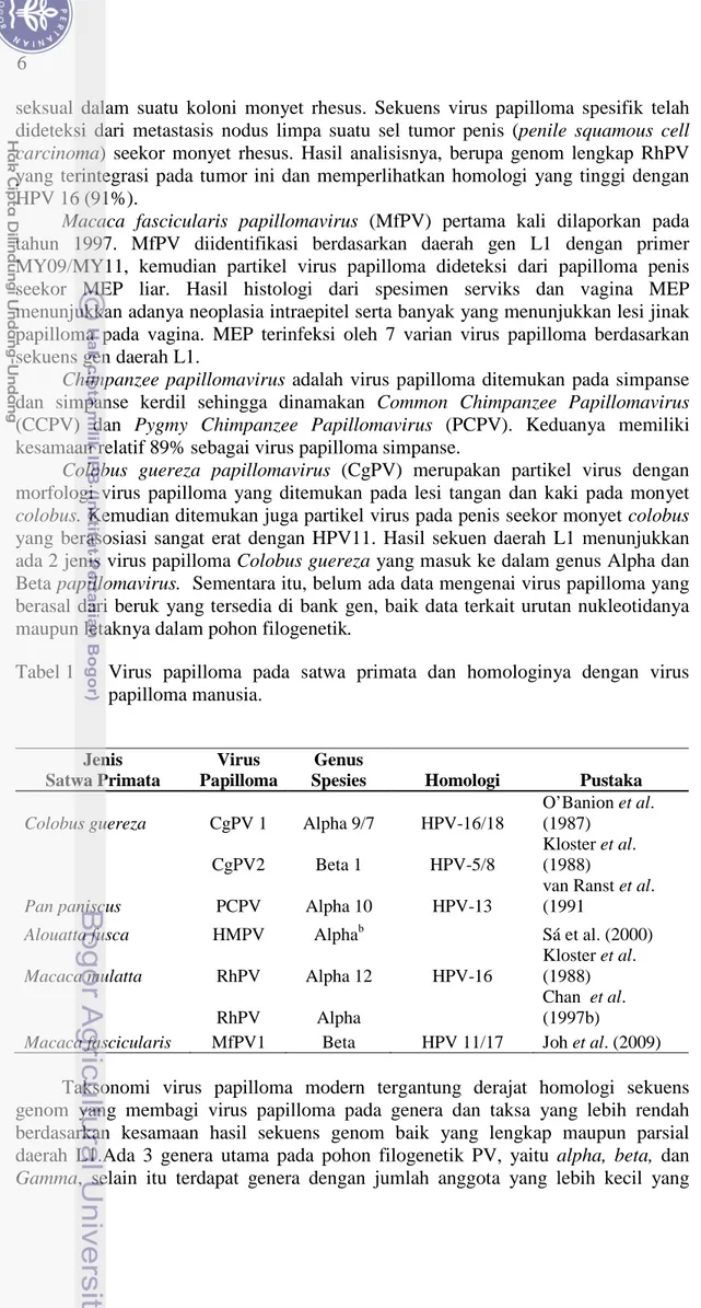 Tabel 1   Virus papilloma pada satwa primata dan homologinya dengan virus  papilloma manusia