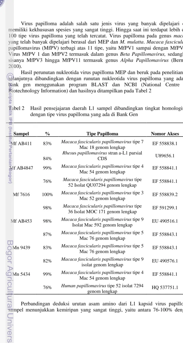 Tabel 2  Hasil pensejajaran daerah L1 sampel dibandingkan tingkat homologinya  dengan tipe virus papilloma yang ada di Bank Gen 