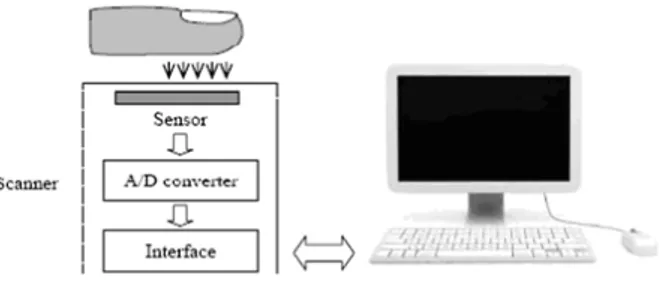 Gambar 1. Blok Diagram dari Fingerprint Scanner 2.2 Sensor Optik 
