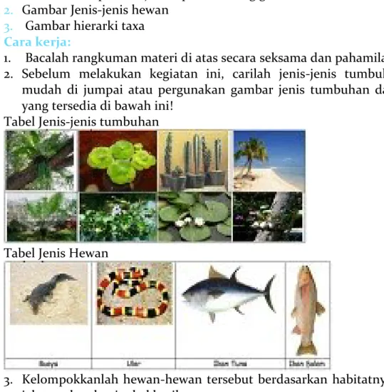 Tabel Jenis-jenis tumbuhan 