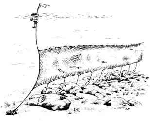 Gambar 1. Ilustrasi Penggunaan Fixed Gillnet 