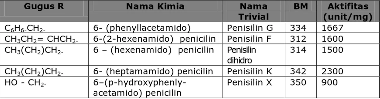 Tabel 2.1  Jenis-jenis penisilin hasil proses fermentasi 