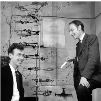 Gambar 6. Watson dan Crick, penemu model struktur DNA 
