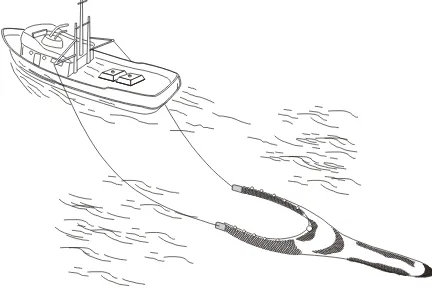 Gambar 4. Nephrops trawl (Nephrops trawls) 
