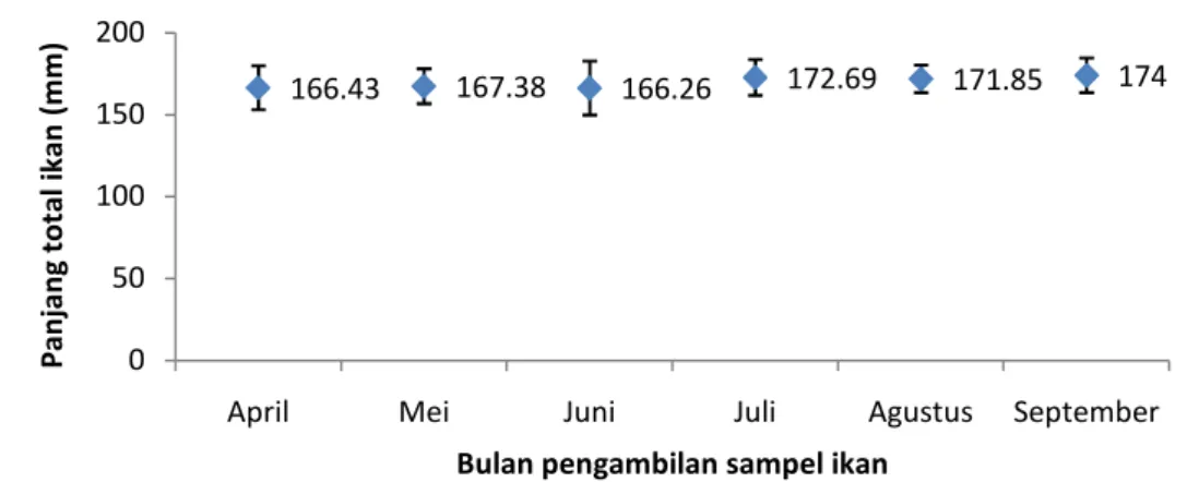 Gambar 6. Panjang total ikan banban (rata-rata ± SD) pada bulan April – September 2009 