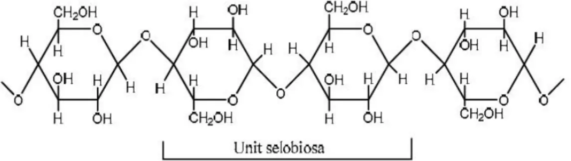 Gambar 1. Struktur Kimia Selulosa   (Sumber : Lehninger 1993). 