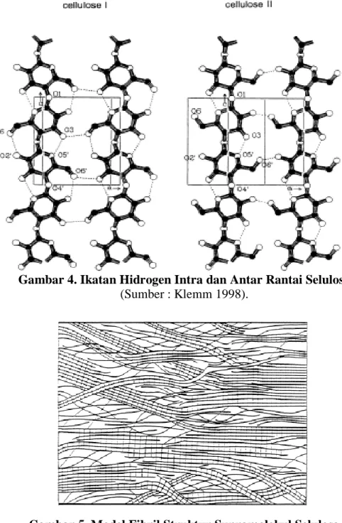 Gambar 4. Ikatan Hidrogen Intra dan Antar Rantai Selulosa  (Sumber : Klemm 1998). 