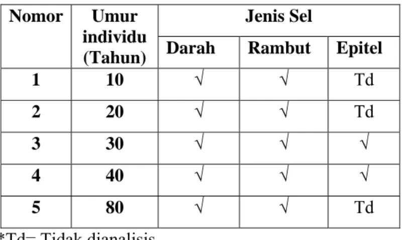 Tabel IV.2. Pola distribusi sampel yang dianalisis pada lima individu  yang berbeda umur dalam bentuk matriks 