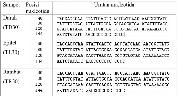 Tabel IV.3. Urutan nukleotida  daerah D-loop mtDNA pada  sel darah, sel  epitel, dan sel rambut pada individu umur 30 tahun