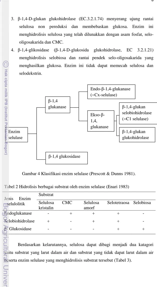 Gambar 4 Klasifikasi enzim selulase (Prescott &amp; Dunns 1981). 