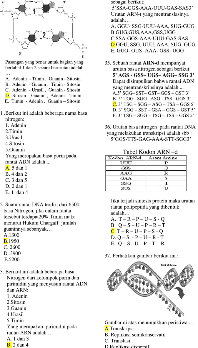 Tabel Kodon ARN –d 