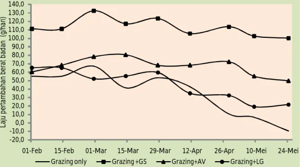 Grafik 6. Pertambahan berat badan ternak Sapi Bali dara yang digembalakan di padang rumput alam di  P