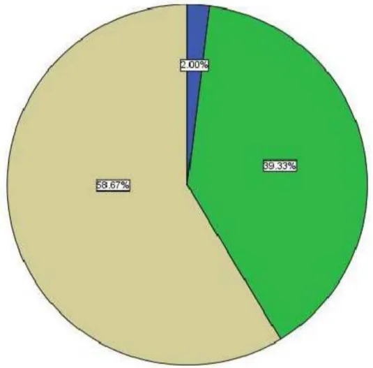 Gambar V.1 Grafik Umur Responden