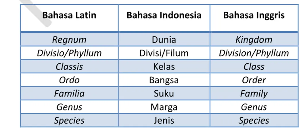 Tabel 2.1 Urutan Takson atau Taksonomi pada Makhluk Hidup  Bahasa Latin  Bahasa Indonesia  Bahasa Inggris 