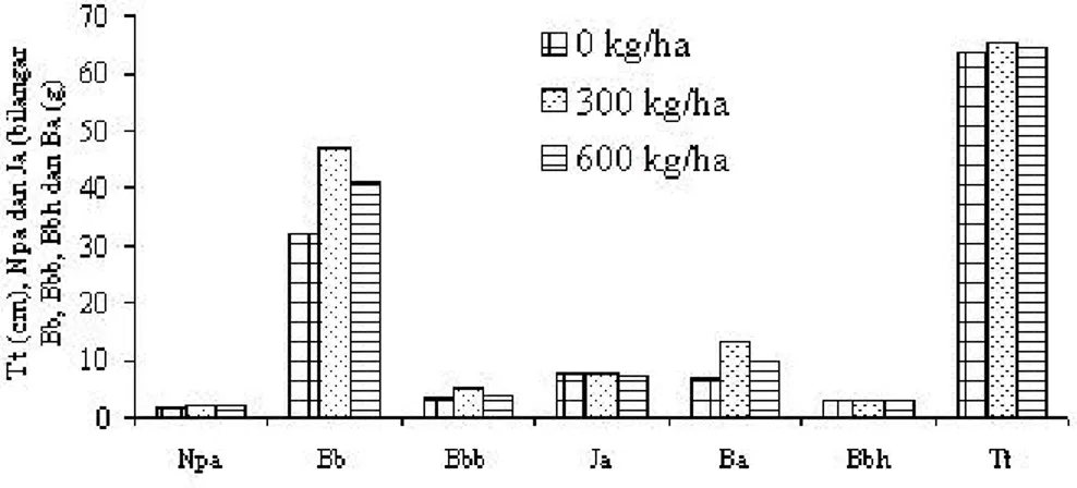 Gambar 3. Rerata peubah pertumbuhan dan hasil tanaman padi cv. IR.64      dengan dosis batuan fosfat