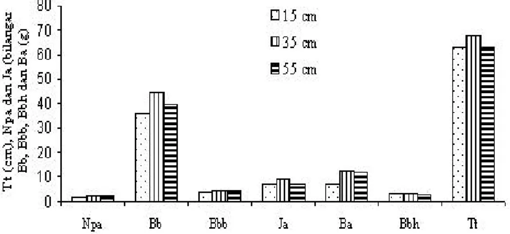 Gambar 4. Rerata peubah pertumbuhan dan hasil tanaman padi cv. IR.64      dengan dosis batuan fosfat