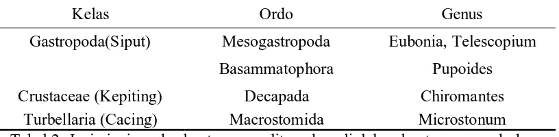 Tabel 2. Jenis-jenis makrobentos yang ditemukan di dalam kantong serasah daun R.mucronata   