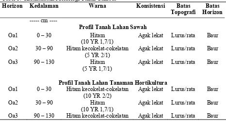 Tabel 3.  Karakteristik Morfologi Tanah Gambut 
