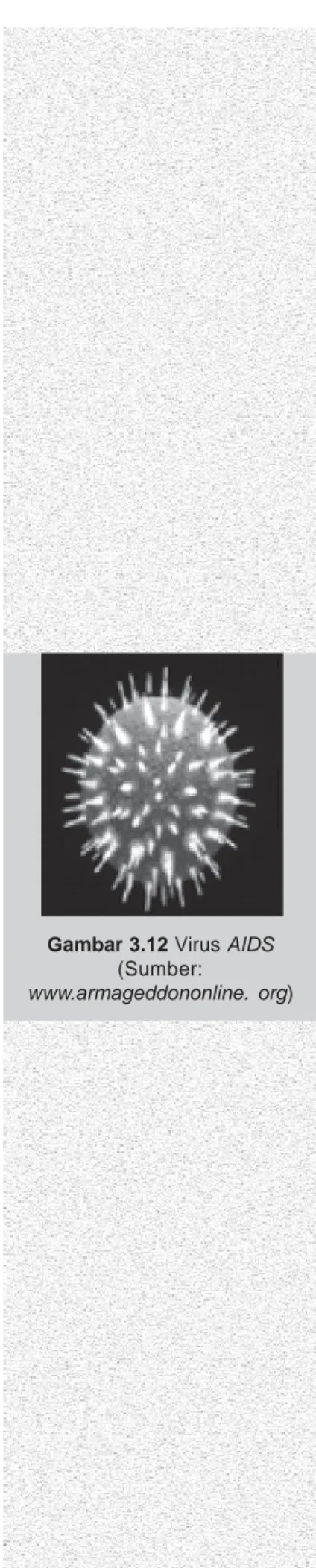 Gambar 3.12 Virus AIDS (Sumber: