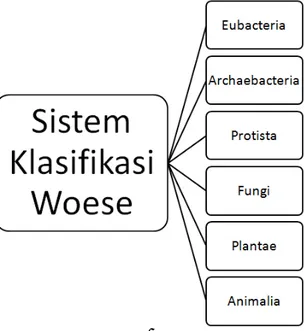 Gambar 2 Sistem Klasifikasi Enam Kingdom  Menurut Woese 