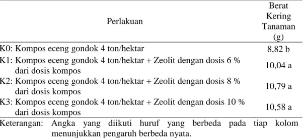Tabel 4. Rerata Berat Kering Tanaman Cabai Merah 