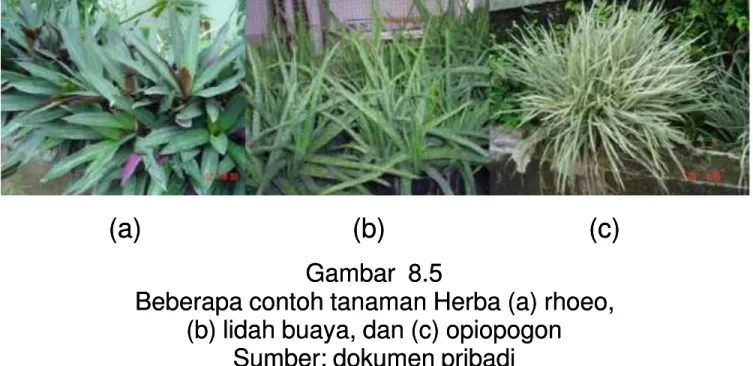 Gambar  8.5Gambar  8.5