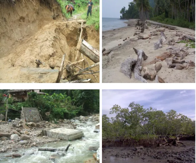 Gambar 2.1. Kondisi kerusakan lingkungan Kabupaten Donggala  (Sumber : data olahan 2008) 