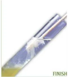Gambar 2. DNA Hasil i